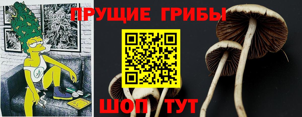 Иркутск  Псилоцибиновые грибы GOLDEN TEACHER  Вход с VPN 
